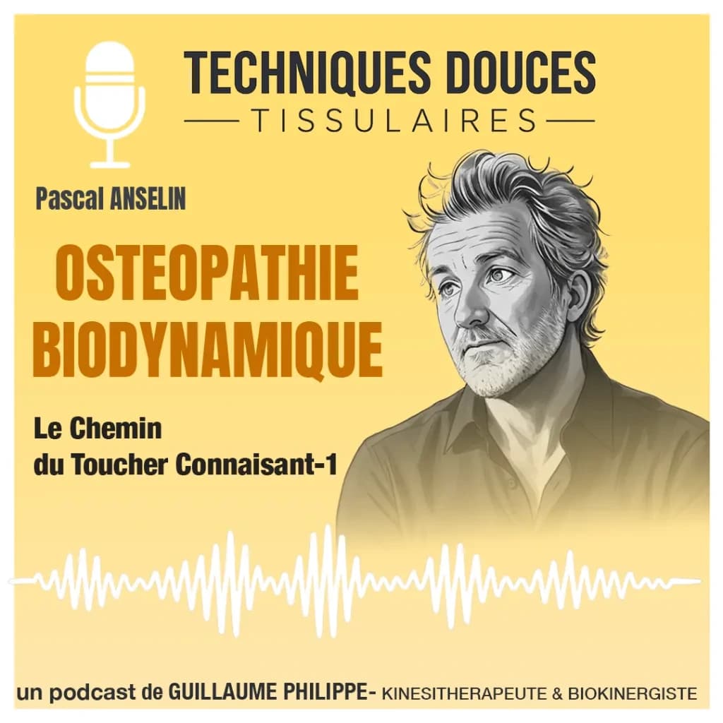 Le chemin du toucher connaissant - Pascal Anselin