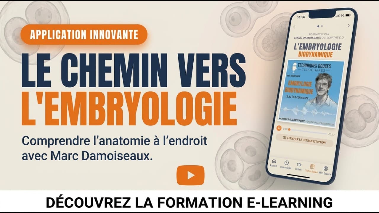 Techniques Douces Tissulaires - Vidéo